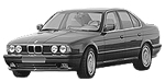 BMW E34 B1A25 Fault Code